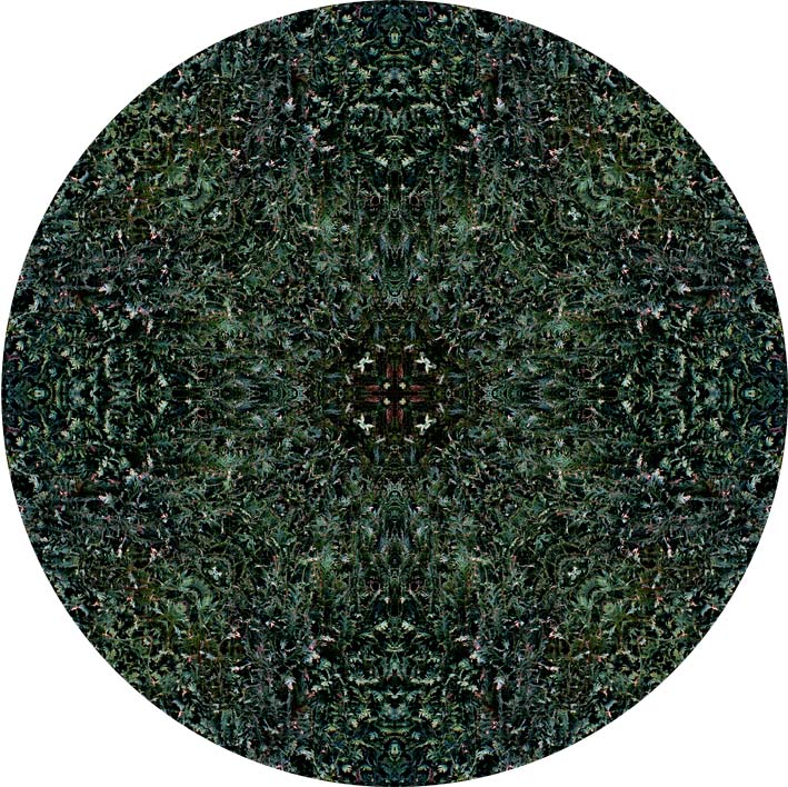 encircled